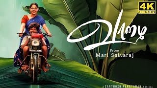 Vaazhai Full Movie in Tamil Facts and Review  Mari Selvaraj  Kalaiyarasan  Nikhila Vimal [upl. by Cordi]