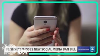 Florida Senate passes revamped social media bill [upl. by Lindley136]