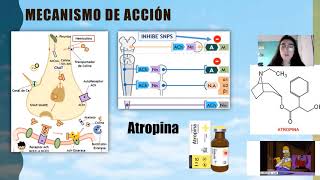 Fármacos agonistas y antagonistas Colinérgicos [upl. by Miriam]