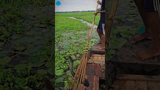 Boat Fishing Video 2024 part 132shortsshortvideo viral viralvideo fishing fishboatfishing [upl. by Idyh]