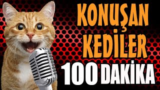 Konuşan Kediler 100 Dakika  Sinema Tadında En Komik Kedi Videoları [upl. by Heti]