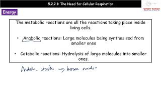 A Level Biology  5221  The Need for Cellular Respiration [upl. by Bridwell]