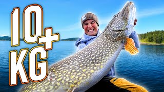 DREAM FISHING Our BEST Pike Fishing from Boat with 10 PIKE [upl. by Aholah]