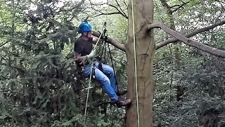 Single Rope Tree Climbing Techniques SRT [upl. by Latnahs]