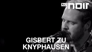 Gisbert zu Knyphausen  Teheran Smiles live bei TV Noir [upl. by Cherianne861]