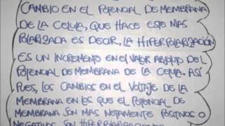 despolarizacion repolarizacion y hiperpolarizacion [upl. by Kelsi]