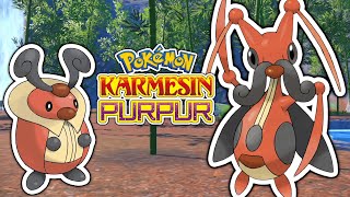 Zirpurze und Zirpeise Fundort  Entwicklung  Pokemon Karmesin und Purpur [upl. by Joab830]