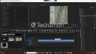 Flash Effect Tutorial । Premiere Pro CC 2024 [upl. by Laen]