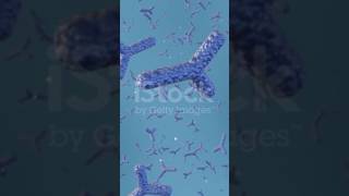 Structure of antibodies  immunoglobulins [upl. by Roswald]