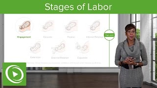 Stages of Labor Stages 1 2 amp 3 of Normal Labor – Obstetrics  Lecturio [upl. by Ahsikit502]