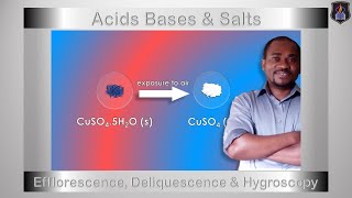 Acids Bases and Salts  Efflorescence Deliquescence amp Hygroscopy  Chemistry Tutorial [upl. by Freeborn]