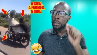 Teaching An Old Cow New Tricks 🤣🤣🤣K2K REACTION S11 Ep 13 [upl. by Claudius]