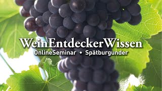 🍇 Spätburgunder – WeinEntdeckerWissen OnlineSeminar 🍇 [upl. by Airehs]