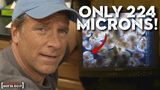 Mike Rowe Helps Breed Oysters The quotKidneysquot of the Chesapeake Bay  Somebodys Gotta Do It [upl. by Eesak]