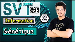 Mitose  transfert de l’information génétique d’une cellule à l’autre Part 2 [upl. by Salokcin]