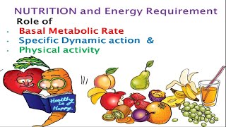 Nutrition and energy requirement  Basal Metabolic rate  BMR  SDA  Biochemistry [upl. by Aikam]