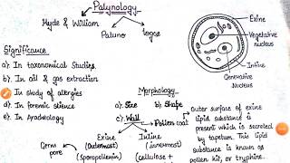 Palynology  Pollen Grain Morphology Significance interaction  BSC final year Botany Paper 1 [upl. by Homere]