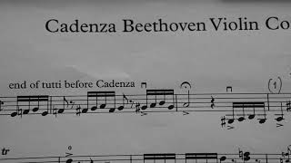 Beethoven Violin Concerto Cadenza Mvt 1 [upl. by Anauqaj]