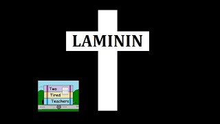 Laminin [upl. by Marcelo]