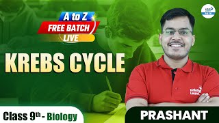 Krebs Cycle or Citric Acid Cycle  Class 9 Biology  Class 9 Preparation  LIVE  InfinityLearn910 [upl. by Cathi257]