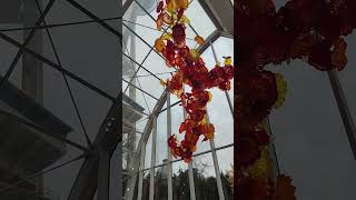 Chihuly Garden glass museumSeattle Washington travel seattletrip vlog thingstodoseattle glass [upl. by Franciscka946]