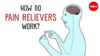 How Do Pain Relievers Work  George Zaidan [upl. by Morissa]