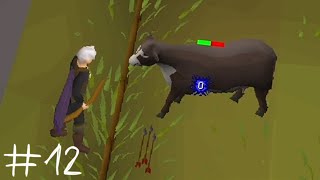 Starting All Over Again  Runescape Noob Playing OSRS For The First Time 12 [upl. by Ettezzus637]