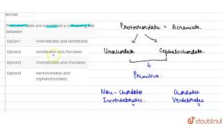 Protochordates are considered a connecting link between [upl. by Rednal88]