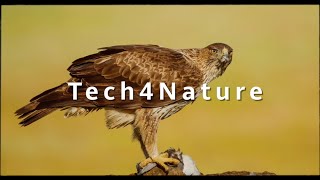 Tech4Nature por la conservación del águila perdicera [upl. by Noyerb]