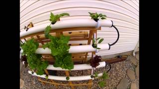 H2ogrowingcom DIY Hydroponic NFT system for cheap [upl. by Yllib64]