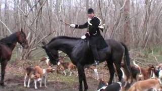 Chasse à courre au chevreuil [upl. by Syst]