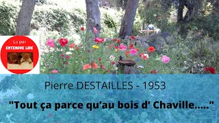 quotAu bois de Chavillequot  Pierre DESTAILLES [upl. by Yt]