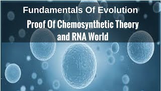 Proof Of Chemosynthetic Theory RNA World [upl. by Humbert32]