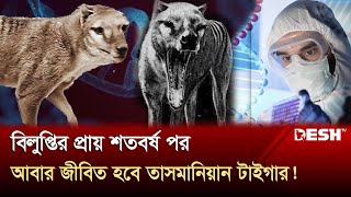 বিলুপ্ত হিংস্র বাঘ ফিরিয়ে আনবেন বিজ্ঞানিরা  Tasmanian tiger  DeExtinction  Desh TV [upl. by Llovera]