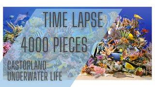 Doing the 4000 Pieces Jigsaw Puzzle quotUnderwater Lifequot by Castorland a Time Lapse Video [upl. by Puff]