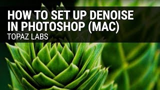 How to set up Topaz DeNoise in Photoshop Mac [upl. by Danzig270]