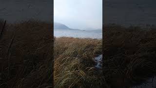 Local Hunter Searches for Goose in Tenakee Springs Alaska [upl. by Magulac]