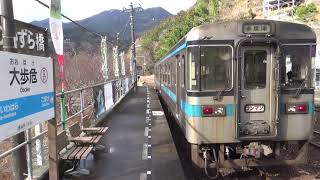 202417 土讃線 JR四国1000形普通列車 大歩危→多度津 乗車記 [upl. by Gizela]