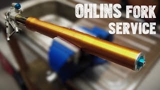 How to Service Ohlins Forks Aprilia Tuono 1100 v4 Factory fork seal replacement [upl. by Airtemad]