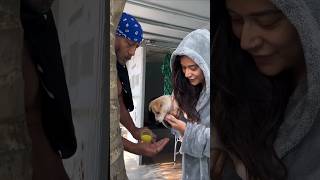 Jackie Shroff Feeds Haldi Milk To His Doggo In This CUTE Video 🥹  shorts dog bollywood [upl. by Enymzaj]