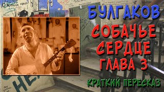 Собачье сердце 3 глава Краткое содержание [upl. by Currie]