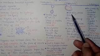 Lysosomes Structure And Functions  Federal And KPK Board  Ali Academy [upl. by Seavey956]