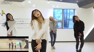 EXID交換DDDPart之毀壞歌曲版  EXID members exchange roles in DDD and make fun of one another [upl. by Gemoets]