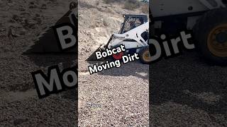 Bobcat moving dirt bobcatequipment dirtwork fieldwork satisfyingvideo [upl. by Ring]