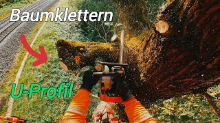 BaumkletternUProfil zwischen Partenstein und Wiesthal Treecare​ chainsaw​ arborist​ treework​ [upl. by Cudlip]