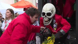 Fasnacht Liestal 2019 [upl. by Ayram]