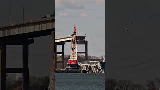 Weeks 533 Unloads Dali in Baltimore baltimore bridgecollapse salvage [upl. by Ergener232]