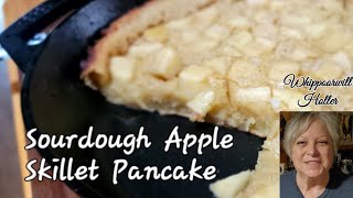 Sourdough Apple Skillet Pancake Questions and Answers about Sourdough Starter [upl. by Annirak730]