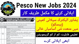 Peshawar Electric Supply Company Pesco New Jobs 2024  Complete Process of How to Apply  Govt Job [upl. by Neeoma463]