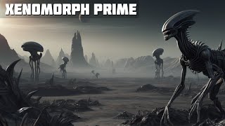 What is the Xenomorph HOMEWORLD  Alien Romulus [upl. by Anirol]